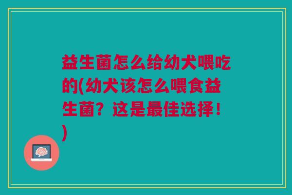 益生菌怎么给幼犬喂吃的(幼犬该怎么喂食益生菌?这是最佳选择!)