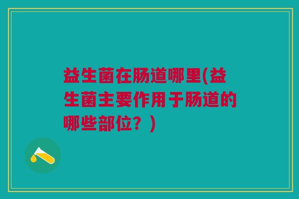 益生菌在肠道哪里(益生菌主要作用于肠道的哪些部位?)