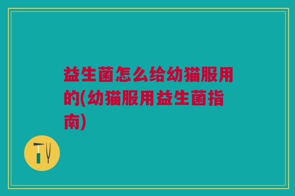 益生菌怎么给幼猫服用的(幼猫服用益生菌指南)