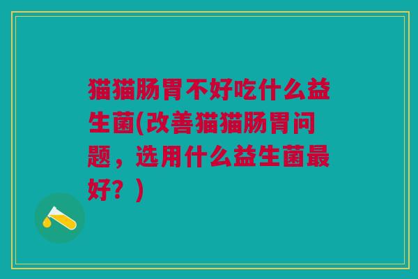 猫猫肠胃不好吃什么益生菌(改善猫猫肠胃问题,选用什么益生菌最好?)