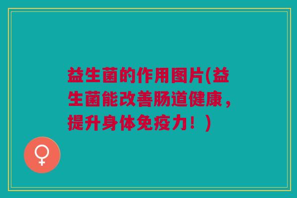 益生菌的作用图片(益生菌能改善肠道健康,提升身体免疫力!)