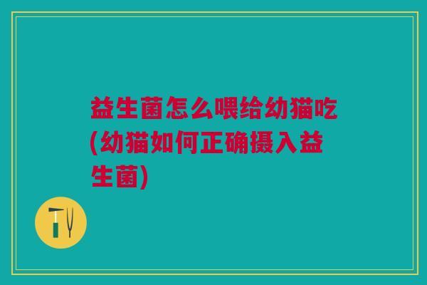益生菌怎么喂给幼猫吃(幼猫如何正确摄入益生菌)