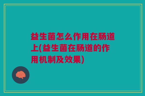 益生菌怎么作用在肠道上(益生菌在肠道的作用机制及效果)