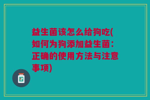 益生菌该怎么给狗吃(如何为狗添加益生菌:正确的使用方法与注意事项) 益生菌该怎么给狗吃(如何为狗添加益生菌:正确的使用方法与注意事项)