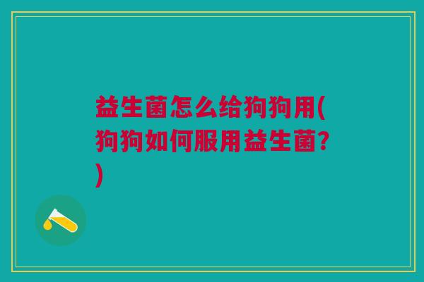 益生菌怎么给狗狗用(狗狗如何服用益生菌?)