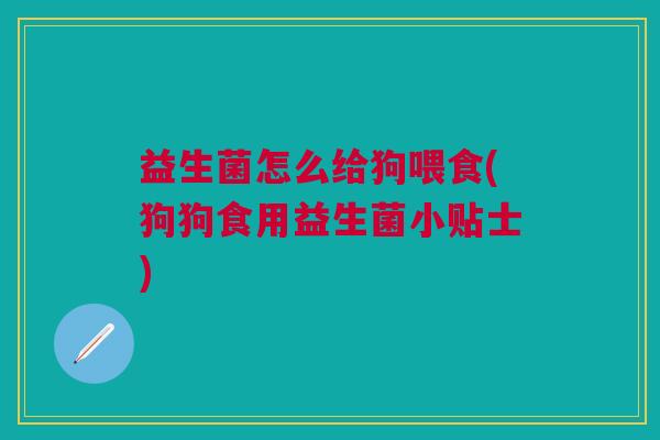 益生菌怎么给狗喂食(狗狗食用益生菌小贴士)