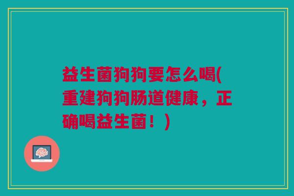 益生菌狗狗要怎么喝(重建狗狗肠道健康,正确喝益生菌!)