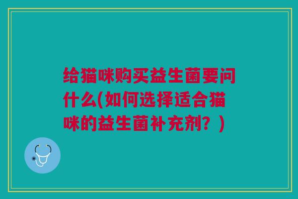 给猫咪购买益生菌要问什么(如何选择适合猫咪的益生菌补充剂?)