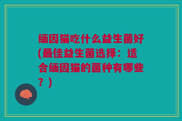 缅因猫吃什么益生菌好(佳益生菌选择:适合缅因猫的菌种有哪些?) 缅因猫吃什么益生菌好(佳益生菌选择:适合缅因猫的菌种有哪些?)