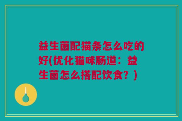 益生菌配猫条怎么吃的好(优化猫咪肠道:益生菌怎么搭配饮食?)