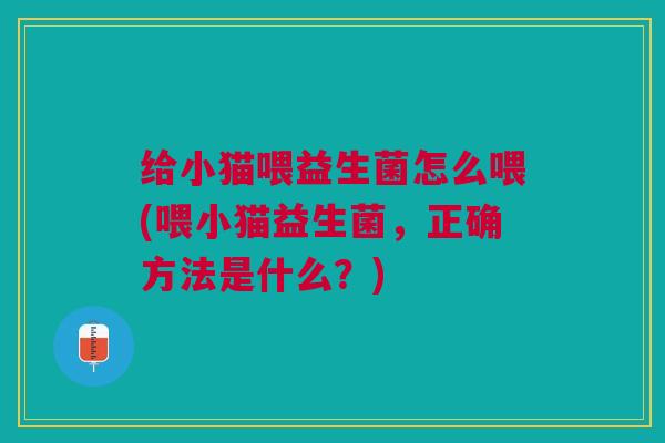 给小猫喂益生菌怎么喂(喂小猫益生菌,正确方法是什么?)
