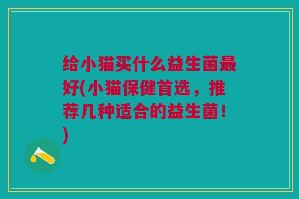 给小猫买什么益生菌最好(小猫保健首选,推荐几种适合的益生菌!)