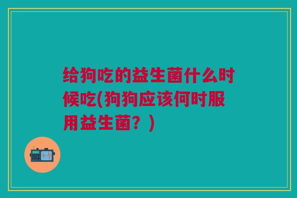 给狗吃的益生菌什么时候吃(狗狗应该何时服用益生菌?)