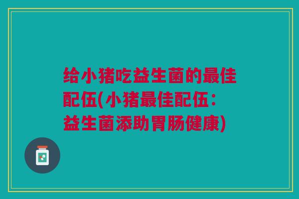 给小猪吃益生菌的佳配伍(小猪佳配伍:益生菌添助健康) 给小猪吃益生菌的佳配伍(小猪佳配伍:益生菌添助健康)
