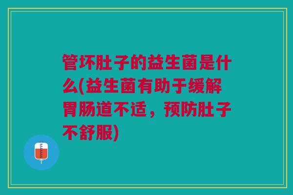 管坏肚子的益生菌是什么(益生菌有助于缓解胃肠道不适,预防肚子不舒服)