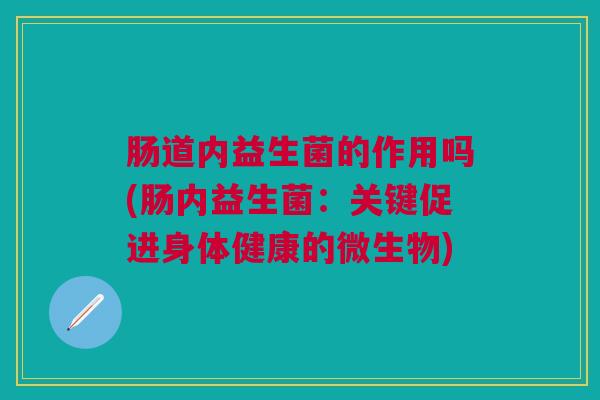 肠道内益生菌的作用吗(肠内益生菌：关键促进身体健康的微生物)
