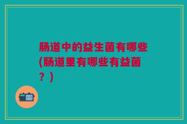 肠道中的益生菌有哪些(肠道里有哪些有益菌?)