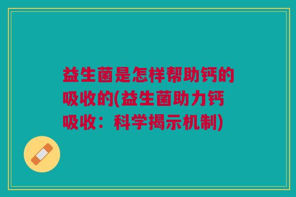 益生菌是怎样帮助钙的吸收的(益生菌助力钙吸收:科学揭示机制)