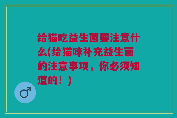 给猫吃益生菌要注意什么(给猫咪补充益生菌的注意事项，你必须知道的！)