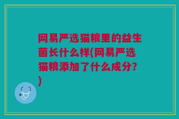 网易严选猫粮里的益生菌长什么样(网易严选猫粮添加了什么成分?)