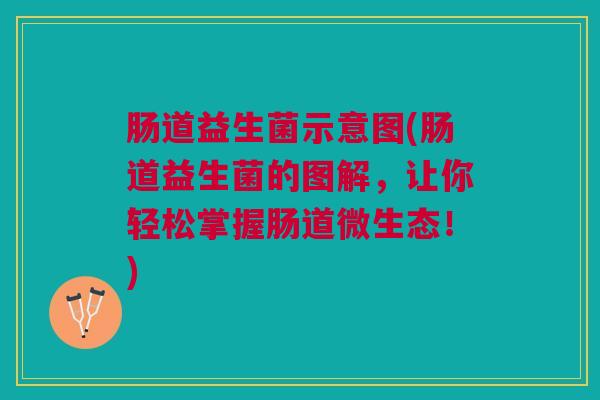 肠道益生菌示意图(肠道益生菌的图解,让你轻松掌握肠道微生态!)