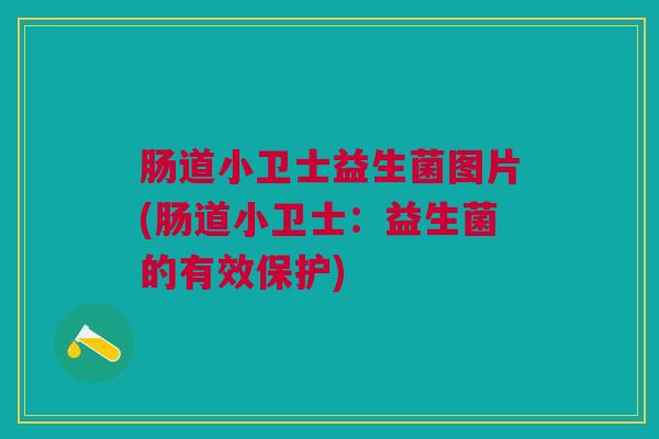 肠道小卫士益生菌图片(肠道小卫士：益生菌的有效保护)