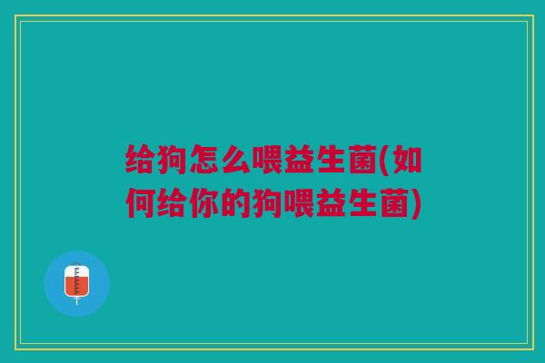 给狗怎么喂益生菌(如何给你的狗喂益生菌)