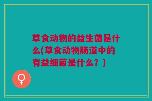 草食动物的益生菌是什么(草食动物肠道中的有益是什么?) 草食动物的益生菌是什么(草食动物肠道中的有益是什么?)
