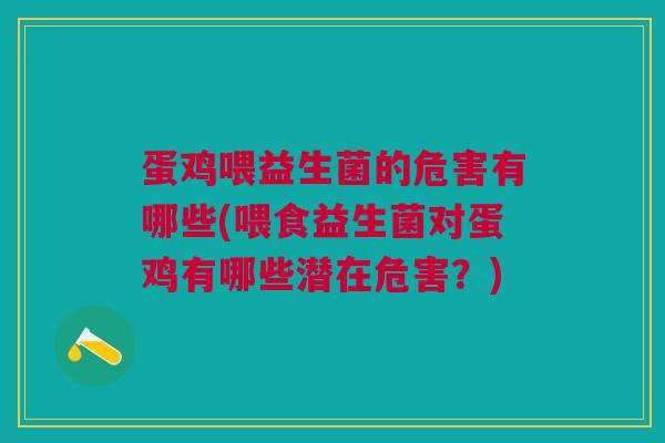 蛋鸡喂益生菌的危害有哪些(喂食益生菌对蛋鸡有哪些潜在危害?)