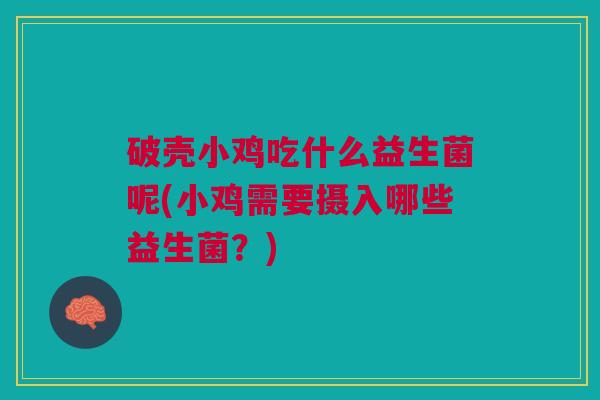 破壳小鸡吃什么益生菌呢(小鸡需要摄入哪些益生菌?)