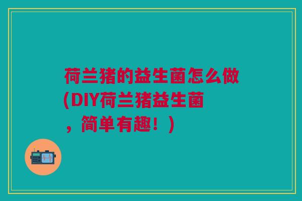 荷兰猪的益生菌怎么做(DIY荷兰猪益生菌,简单有趣!)