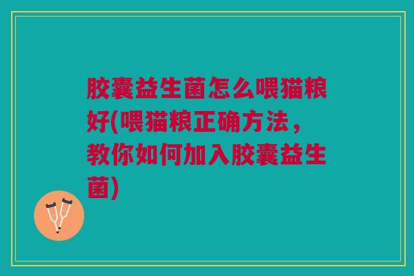 胶囊益生菌怎么喂猫粮好(喂猫粮正确方法,教你如何加入胶囊益生菌)