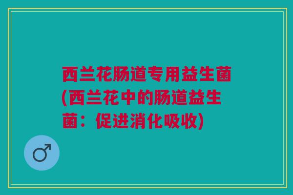 西兰花肠道专用益生菌(西兰花中的肠道益生菌:促进消化吸收)