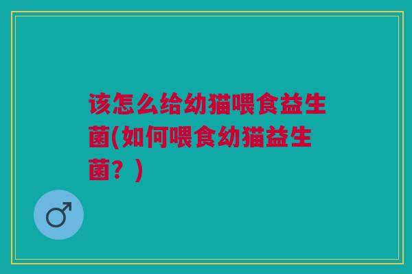 该怎么给幼猫喂食益生菌(如何喂食幼猫益生菌?)