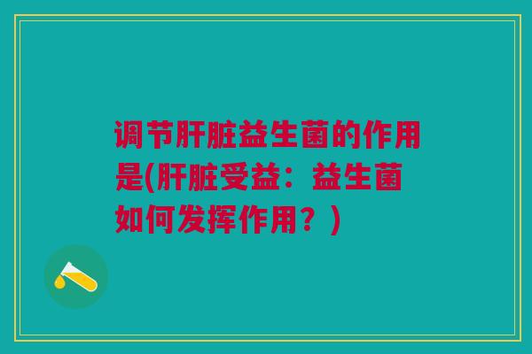 调节肝脏益生菌的作用是(肝脏受益:益生菌如何发挥作用?)