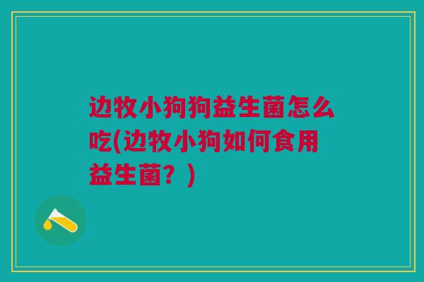 边牧小狗狗益生菌怎么吃(边牧小狗如何食用益生菌?)
