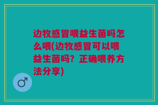 边牧感冒喂益生菌吗怎么喂(边牧感冒可以喂益生菌吗?正确喂养方法分享)