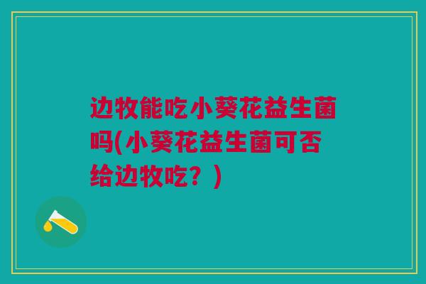 边牧能吃小葵花益生菌吗(小葵花益生菌可否给边牧吃?)