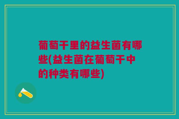 葡萄干里的益生菌有哪些(益生菌在葡萄干中的种类有哪些)