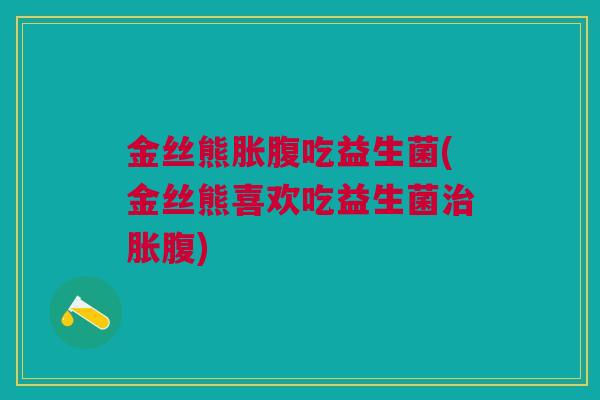 金丝熊胀腹吃益生菌(金丝熊喜欢吃益生菌胀腹) 金丝熊胀腹吃益生菌(金丝熊喜欢吃益生菌胀腹)