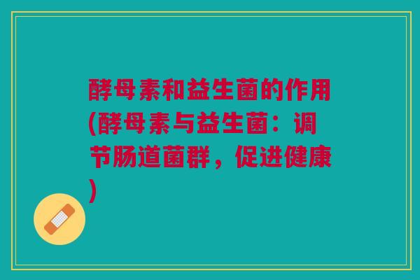 酵母素和益生菌的作用(酵母素与益生菌:调节肠道菌群,促进健康)