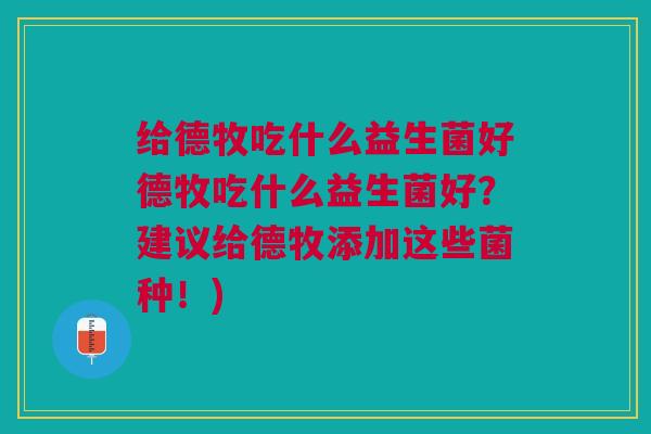 给德牧吃什么益生菌好德牧吃什么益生菌好?建议给德牧添加这些菌种!) 给德牧吃什么益生菌好德牧吃什么益生菌好?建议给德牧添加这些菌种!)