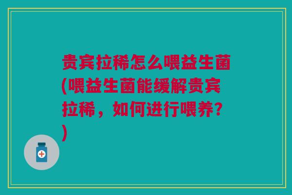 贵宾拉稀怎么喂益生菌(喂益生菌能缓解贵宾拉稀,如何进行喂养?)