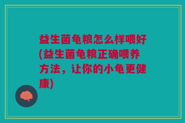 益生菌龟粮怎么样喂好(益生菌龟粮正确喂养方法,让你的小龟更健康) 益生菌龟粮怎么样喂好(益生菌龟粮正确喂养方法,让你的小龟更健康)