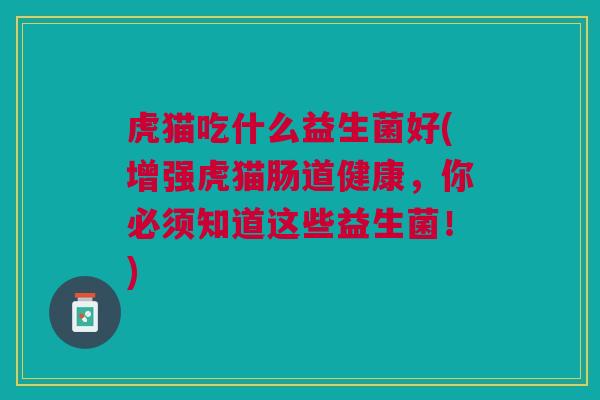 虎猫吃什么益生菌好(增强虎猫肠道健康,你必须知道这些益生菌!)