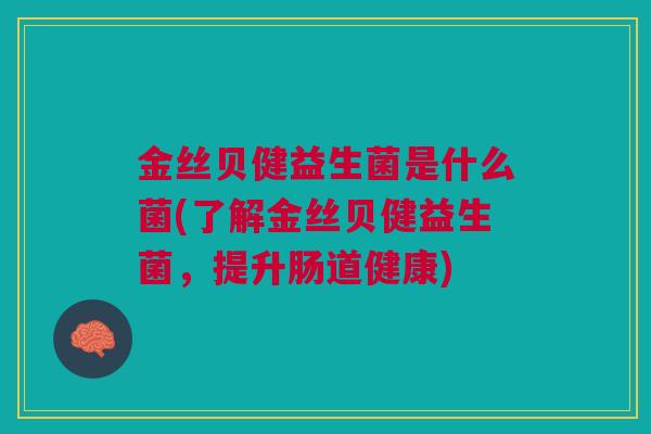 金丝贝健益生菌是什么菌(了解金丝贝健益生菌,提升肠道健康)