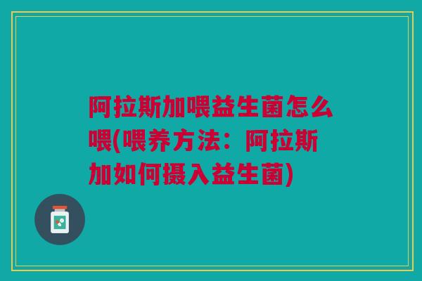 阿拉斯加喂益生菌怎么喂(喂养方法:阿拉斯加如何摄入益生菌)