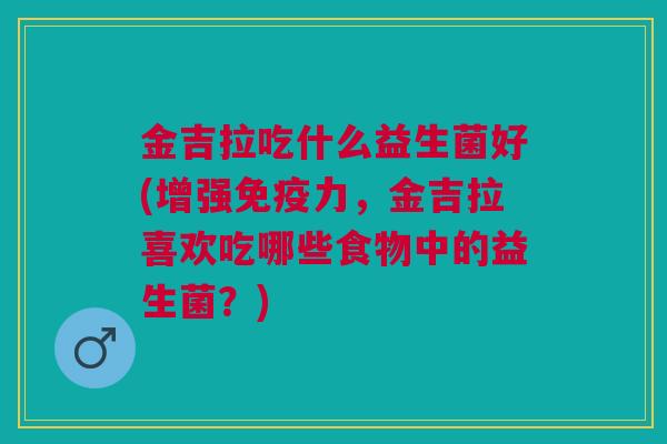 金吉拉吃什么益生菌好(增强免疫力,金吉拉喜欢吃哪些食物中的益生菌?)