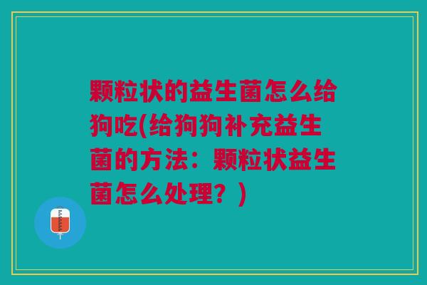 颗粒状的益生菌怎么给狗吃(给狗狗补充益生菌的方法:颗粒状益生菌怎么处理?) 颗粒状的益生菌怎么给狗吃(给狗狗补充益生菌的方法:颗粒状益生菌怎么处理?)