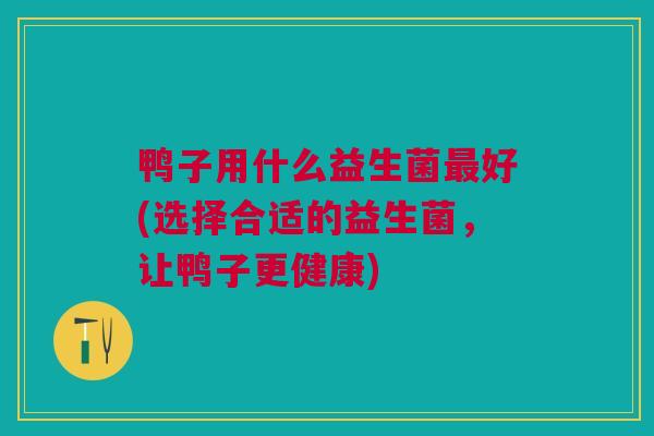 鸭子用什么益生菌最好(选择合适的益生菌,让鸭子更健康)